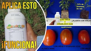 👨‍🔬Virablock 3G50 ¡La Solución para Virosis en Plantas  FUNCIONA [upl. by Pokorny869]