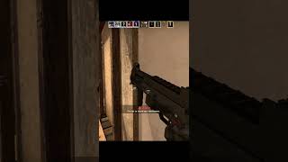 Aara  Csgo Funny moment [upl. by Zach]