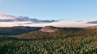 PallasYllästunturi National Park  Shot on a Drone [upl. by Joashus]