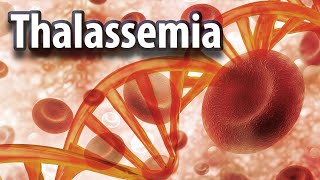 Everything about THALASSEMIA [upl. by Alleira289]