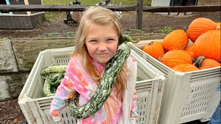 FALL FUN  Soergel Orchards in PA Hay Tunnel Corn Maze Treats and Animals Fallfun pumpkin [upl. by Ahsanat860]