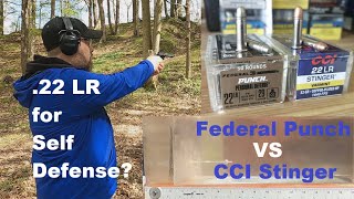 22 LR For Self Defense Federal Punch VS CCI Stinger [upl. by Petronia]