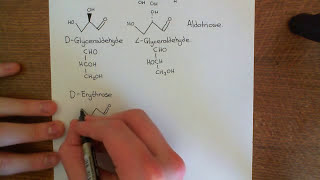 The Aldose Monosaccharides Part 1 [upl. by Ecnerrot]