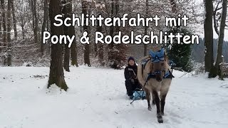 Schlittenfahren mit Pony und Rodelschlitten [upl. by Thurber282]