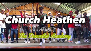 Shaggy  Church Heathen  Dance Video  Ft The Dancelab [upl. by Bilbe543]