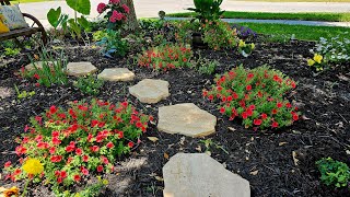 Planting Proven Winners Supertunia mini vista YELLOW with SCARLET 🌺🌻 [upl. by Olumor]