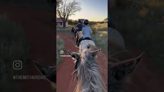 Horse back riding in the reserve at Tswalu [upl. by Nylatsirk]