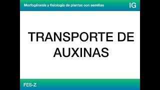 Transporte de auxinas [upl. by Mullac12]