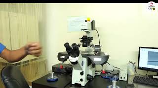 Understanding the ICSI Procedure  Explained by Senior Embryologist Atif Yar Khan [upl. by Namajneb]