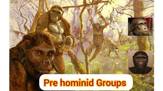 Pre hominid groupsSahelanthropusOrrorin ArdipithecusAnthropologyInsightsforUPSCNET [upl. by Dahl]