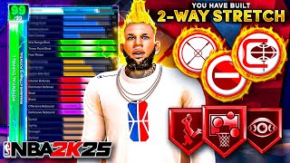 UPDATED BEST PARK SHOOTING CENTER BUILD NBA 2K25 ALLAROUND COMP BIG MAN BUILD [upl. by Eelymmij]