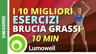 I 10 Migliori Esercizi Brucia Grassi per Perdere Peso [upl. by Oruntha264]