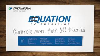 EQUATION® SC Fungicide Now you have a choice [upl. by Gnuhp]