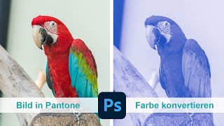 Bild in Pantone Farbe konvertieren  Adobe Photoshop [upl. by Aloisia]