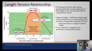 Length Tension Relationship review [upl. by Niret880]