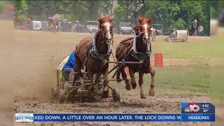 Chuckwagon racing in South Arkansas [upl. by Samuel]