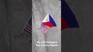 2x3 philippine flag and flaglets 🇵🇭🇺🇲🏳 [upl. by Mcclure840]