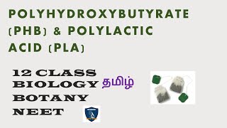 PHB amp PLA in Tamil I Principles and Processes of Biotechnology I Botany I Class 12  TNSCERT  NEET [upl. by Aveneg]