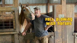 Ramblings while plowing with draft horses [upl. by Stacey]