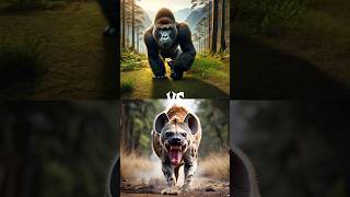 Gorilla 🦍 vs wild animal fight for self defense gorilla wilddog animals wildlife forest shorts [upl. by Tormoria]