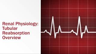 Renal Physiology Tubular Reabsorption Overview [upl. by Zarihs]