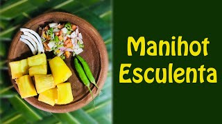 Manihot Esculenta  CeylonFood Recipe [upl. by Llerrom]