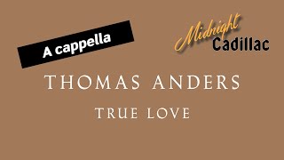 THOMAS ANDERS True Love A cappella [upl. by Wennerholn]