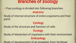 Branches of Zoology [upl. by Meldon669]