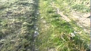 Merthyr Tydfil  The Past Cairn Y Bugail Megalithic Tomb [upl. by Irelav]