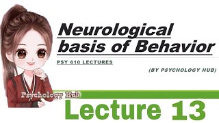 PSY 610 Neurological basis of behavior  lecture 13  Psychology hub [upl. by Nirihs]