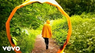 Superorganism  Nobody Cares Official Video [upl. by Oisor]