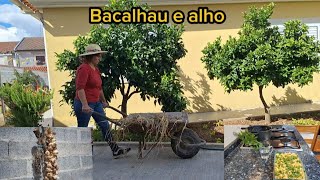 Bacalhau para uma receita típica Portuguesa [upl. by Neerak]