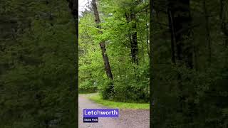 Part 4 Letchworth State Park sites 400 [upl. by Yenffad711]