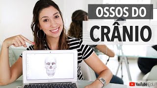 Ossos do crânio Sistema Esquelético 35  Anatomia etc [upl. by Dominick]