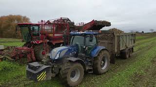 Holmer T430 amp Vervaet Q616 Harvesting Sugarbeet In Lincolnshire [upl. by Dulcia872]