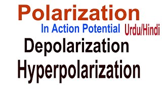 What is Polarization What is Depolarization Hyperpolarization in Action Potential UrduHindi [upl. by Rocher]