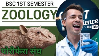 Bsc 1 semester zoology porifera in hindi पोरीफेरा संघ [upl. by Shear84]