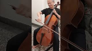 Day 1894 Bach Suite No1 in G major for Cello  Allemande bar 2232 practice [upl. by Aihsaei]