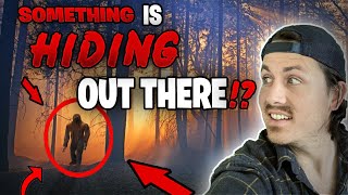 5 STRANGEST disappearances in forests  The Missing 411 phenomenon [upl. by Langley630]