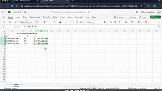 UTAS  Principles of Finance  How to calculate simple interest using MS Excel [upl. by Annait]