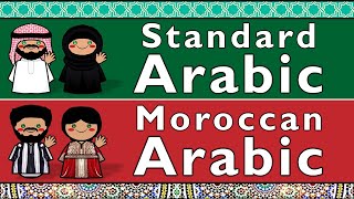 SEMITIC MODERN STANDARD ARABIC amp MOROCCAN ARABIC [upl. by Ymerrej]