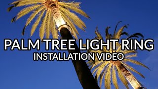 Palm Tree Ring Light LED  Installation Video [upl. by Rekcut]