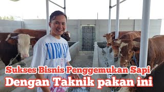 Bisnis penggemukan sapi semakin berkembang menggunakan teknik Pakan ini [upl. by Alyn]