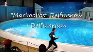 Kolmården 2011 HD Delfin Show mm [upl. by Nwahsuq]