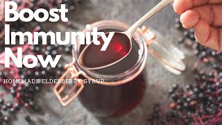 Elderberry Syrup Recipe Boost Your Immunity and Fight Colds Naturally [upl. by Eillat757]