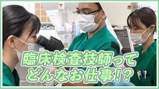 【教えてナントク！】臨床検査技師ってどんなお仕事？【先輩技師インタビュー】 [upl. by Dianuj]