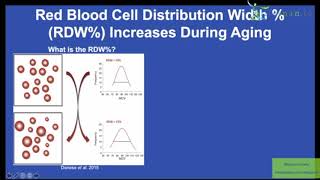 Lab Results MCV RDW Whats Optimal For Health And Lifespan [upl. by Demott]