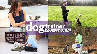 Karen Pryor Academy’s Dog Trainer Professional Program [upl. by Aikkan]