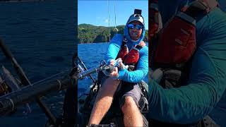 Offshore Kayak Fishing Monster Fish Wont Come Up Shorts [upl. by Elleinnod]