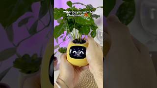 All I want for Christmas ☺️🪴 plantagotchi plants planter plantlove houseplants [upl. by Noxid]